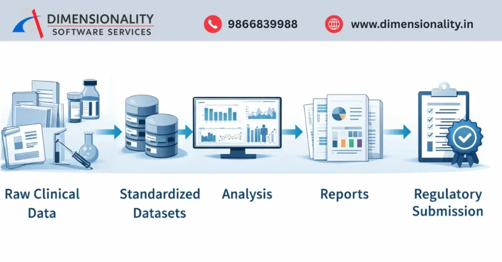 Clinical SAS workflow showing raw clinical data to SDTM, ADaM, and regulatory reporting
