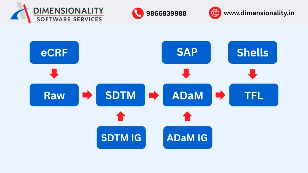 Clinical SAS data flow from raw data to SDTM ADaM and TFL outputs