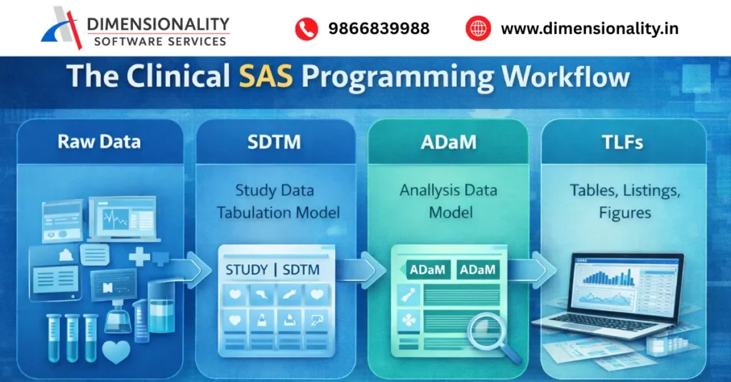 Clinical SAS programming workflow in India showing raw data to SDTM, ADaM and TLFs process for clinical trial analysis
