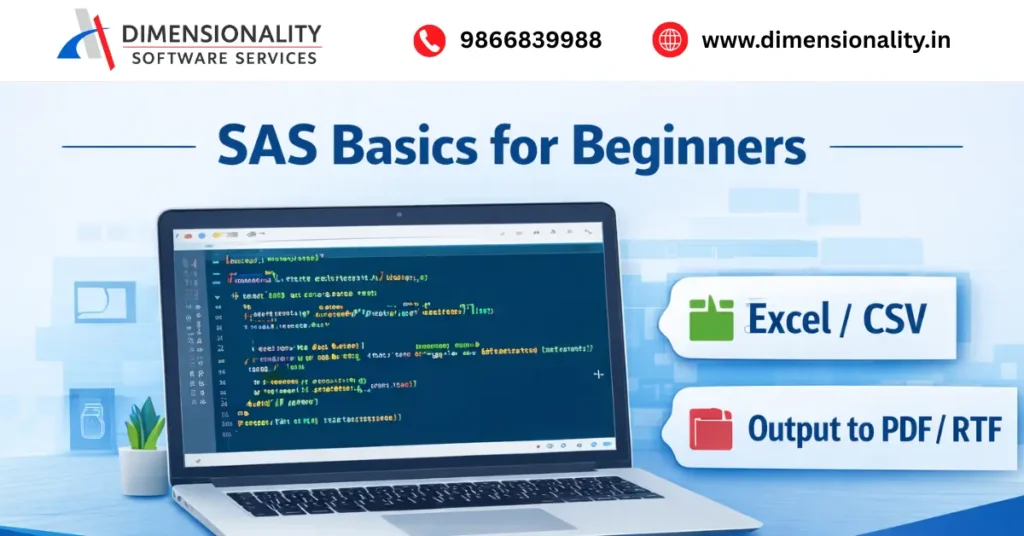 SAS basics for beginners showing SAS programming interface with Excel and CSV input and PDF and RTF output options