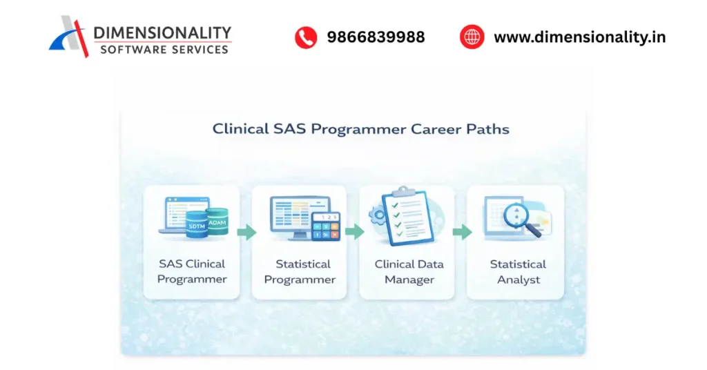 Clinical SAS career progression roadmap from fresher to lead programmer
