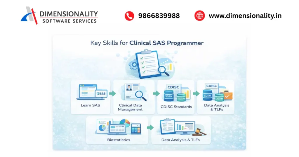 Clinical SAS certification vs experience comparison for career success
