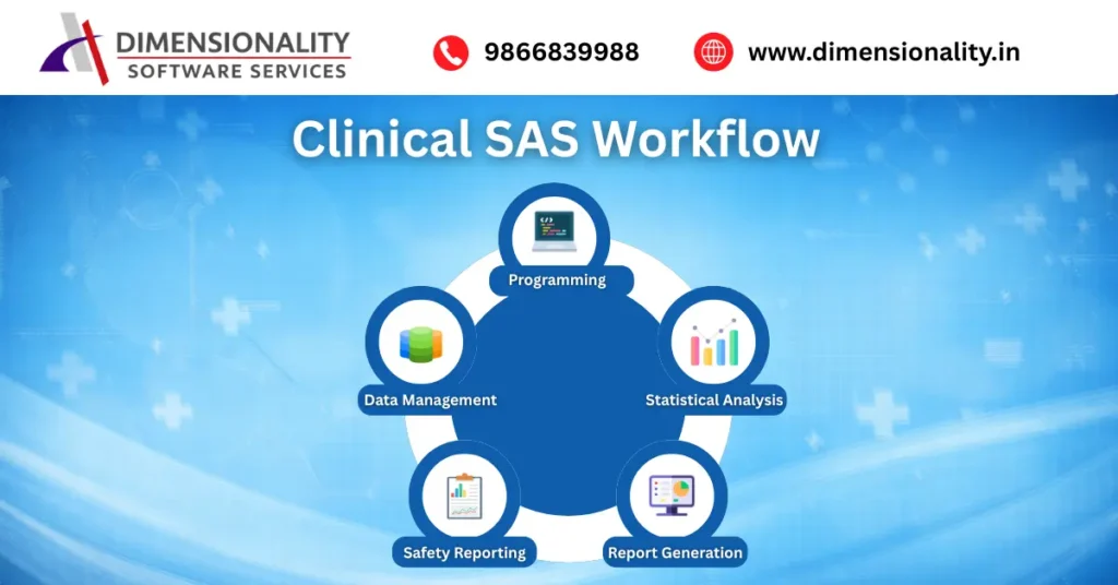Clinical SAS workflow showing data management programming statistical analysis safety reporting and report generation used in clinical SAS training in Hyderabad