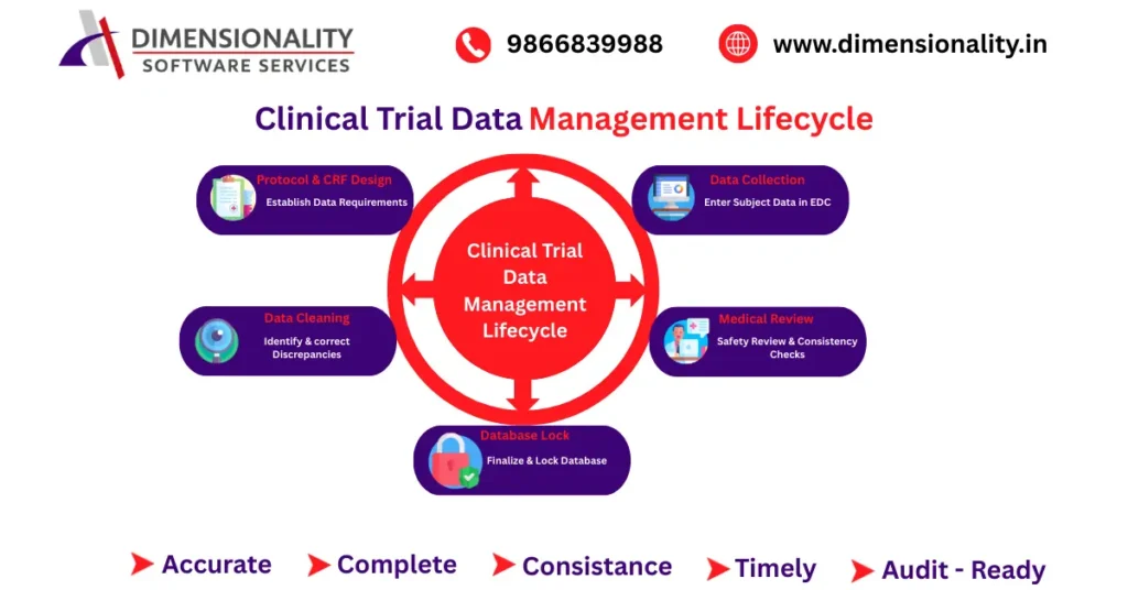 Clinical Trial Data Management Lifecycle showing protocol and CRF design, data collection, data cleaning, medical review, and database lock process
