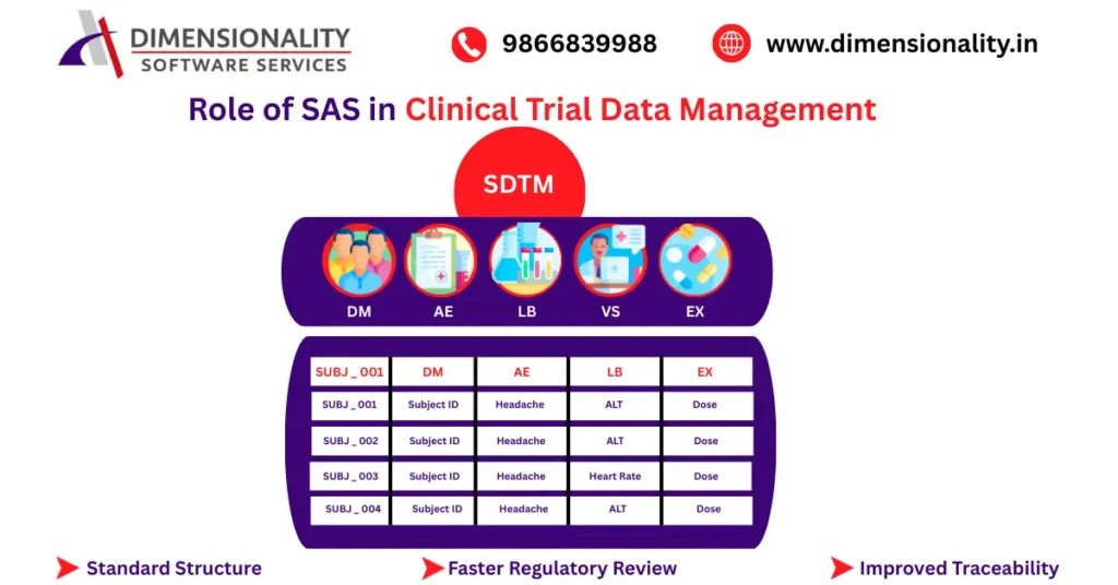 SDTM structure in Clinical Trial Data Management showing DM, AE, LB, VS and EX domains with standardized dataset example table