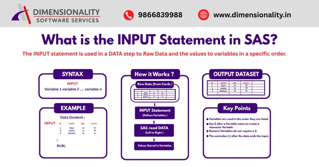 INPUT statement in SAS example showing syntax raw data reading process and output dataset creation in SAS DATA step
