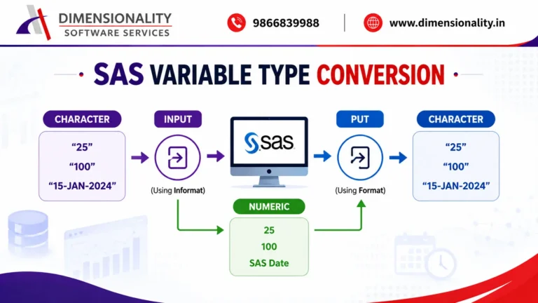 SAS Variable Type Conversion: INPUT vs PUT Functions Explained
